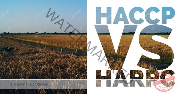Sự khác biệt giữa HACCP và HARCP